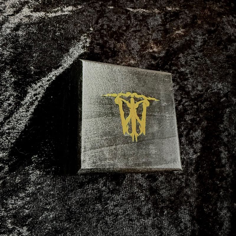 Bundle box lid with the gold sigil